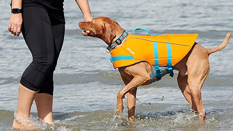 RC Pet Prodycts Tidal Dog Life Vest, Dog Adjustable Life Jacket