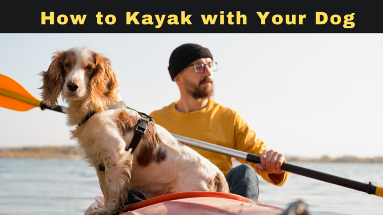 How to Kayak with Your Dog | Guide To Kayaking With Your Pet