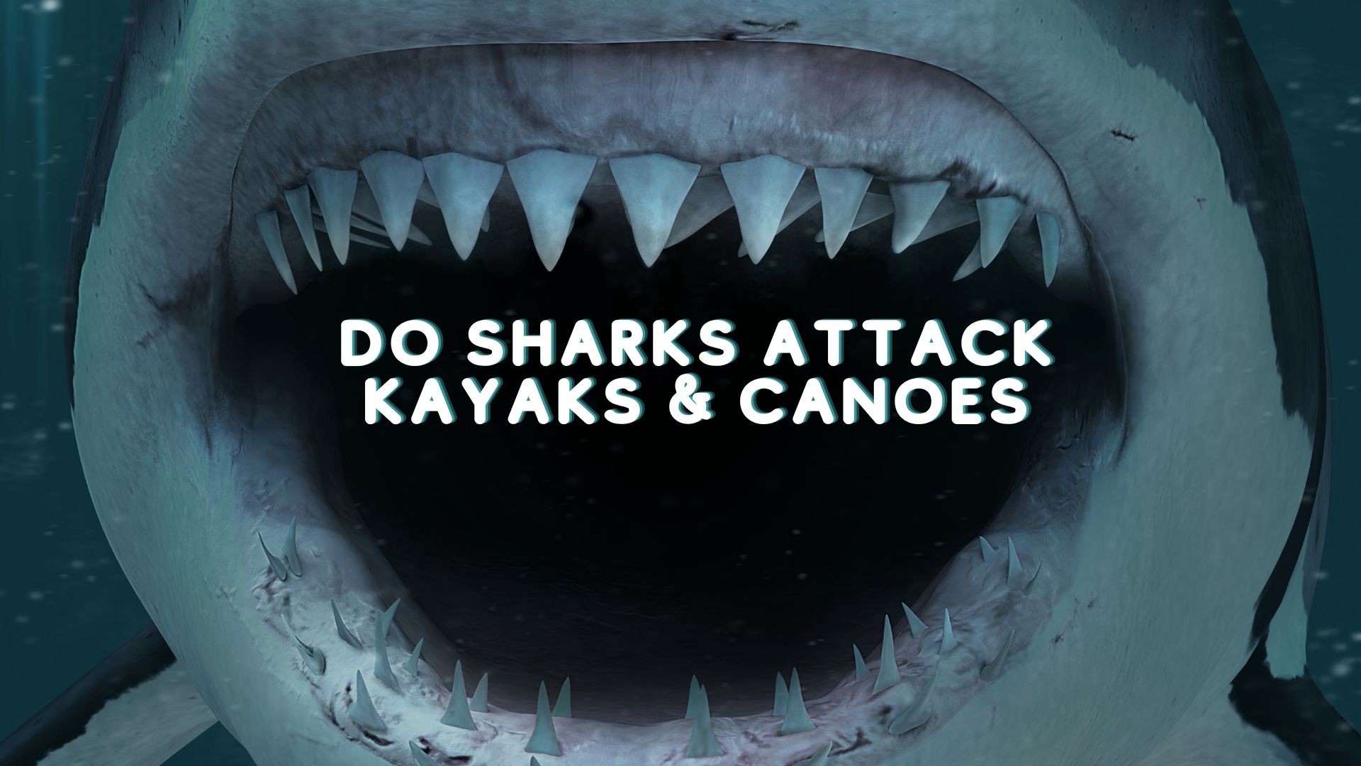 Do Sharks Attack kayaks