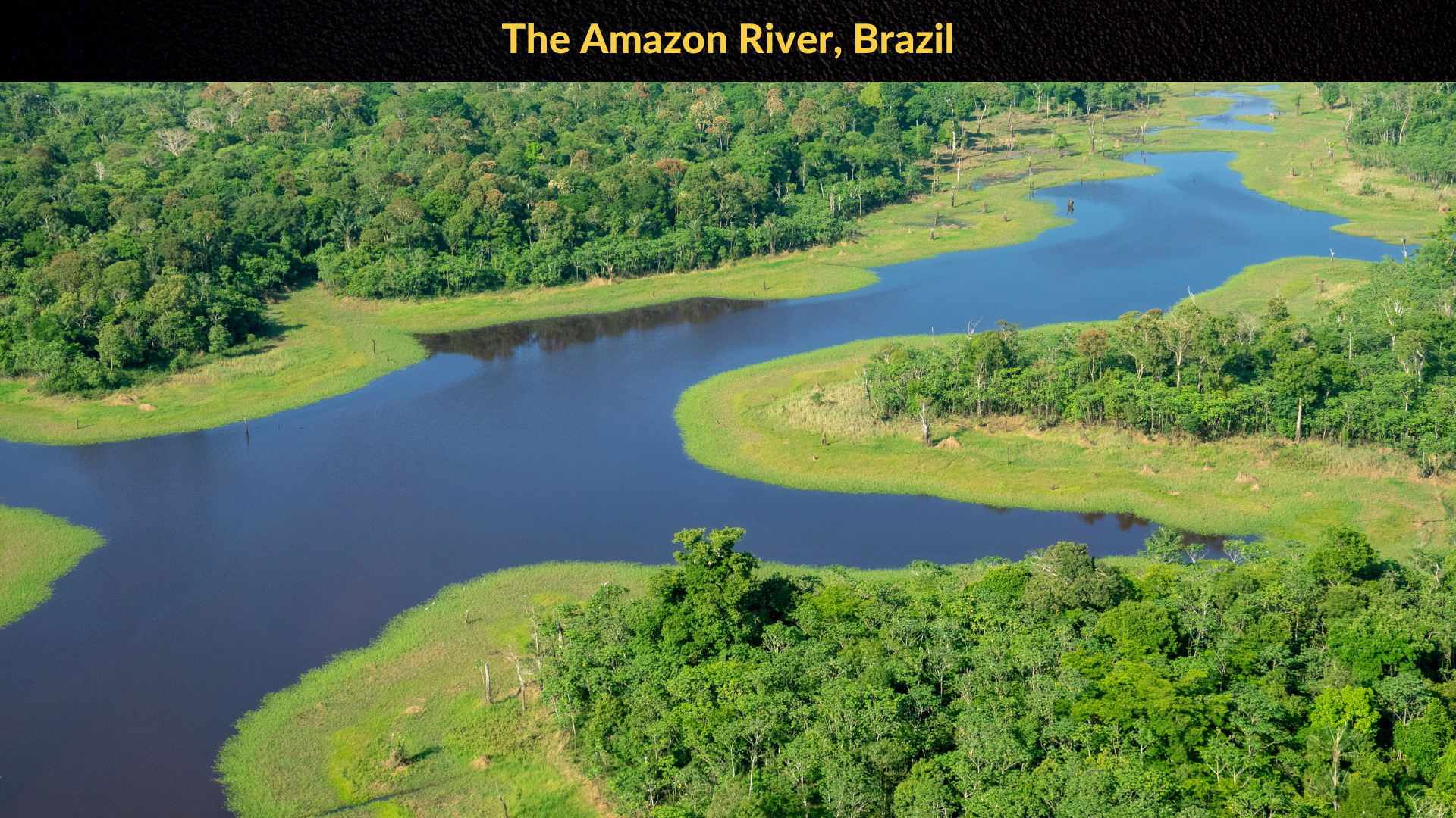 The Amazon River Brazil