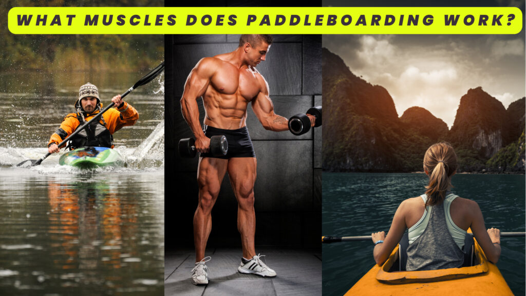 What Muscles Does PaddleBoarding Work?