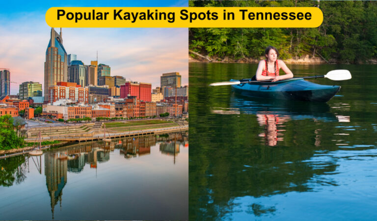 Popular Kayaking Spots in Tennessee | Paddling in Tennessee