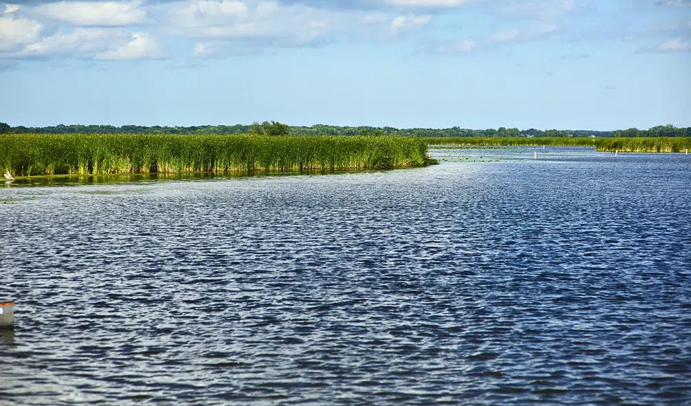 10 Popular Kayaking Spots in Illinois | Explore Illinois 11 Fox Lake