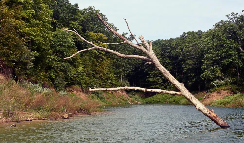 10 Popular Kayaking Spots in Illinois | Explore Illinois 8 Lake Shelbyville