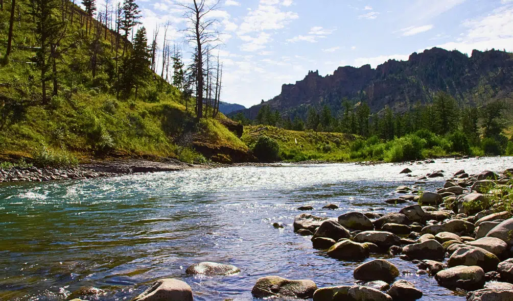10 Best Kayaking Spots in Wyoming | Paddling in Wyoming 7 North Fork Shoshone River