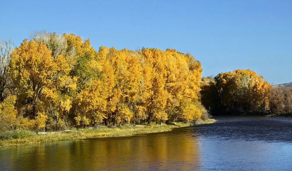10 Best Kayaking Spots in Wyoming | Paddling in Wyoming 10 North Platte River