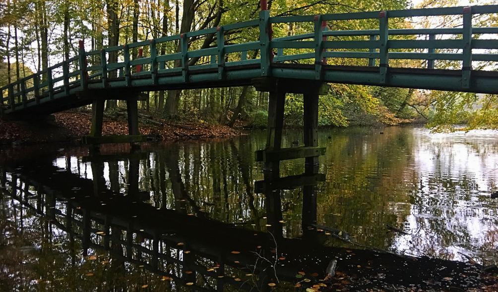 Amsterdamse Bos