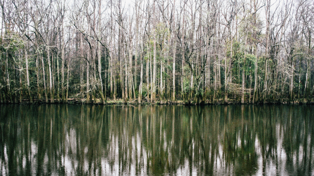 Congaree National Park, South Carolina 