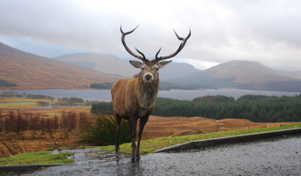 The Great Glen Canoe Trail, Scotland